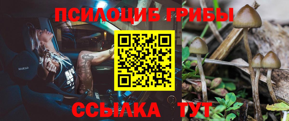 Псилоцибиновые грибы Psilocybine cubensis  Галлюциногенные грибы ЛСД  Шелехов  Вход с VPN 